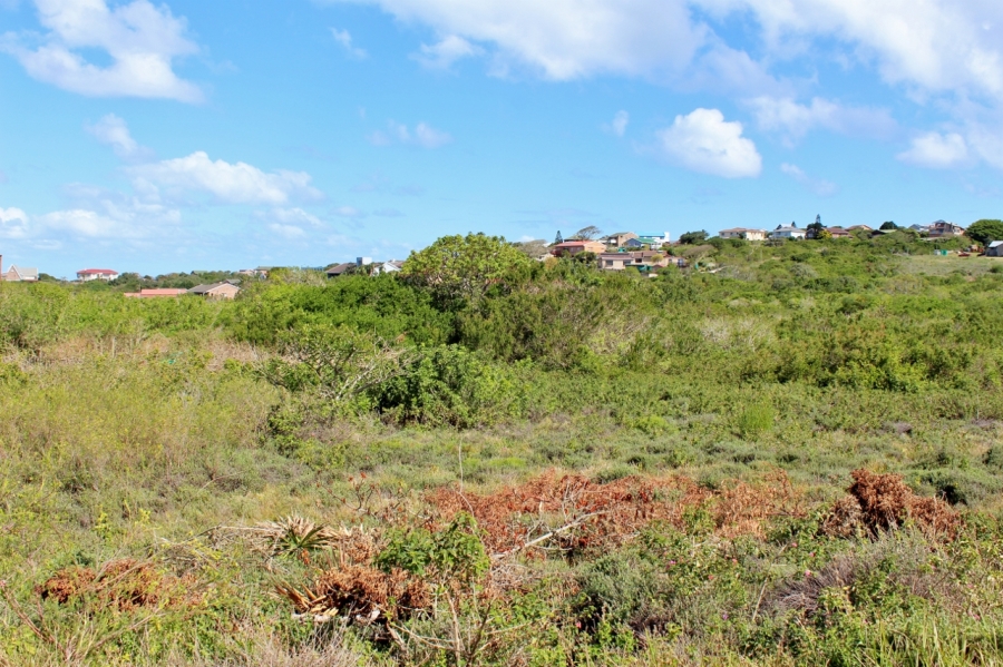 0 Bedroom Property for Sale in Forest Downs Eastern Cape